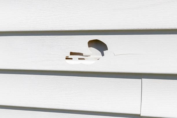 Best Siding Repair  in USA